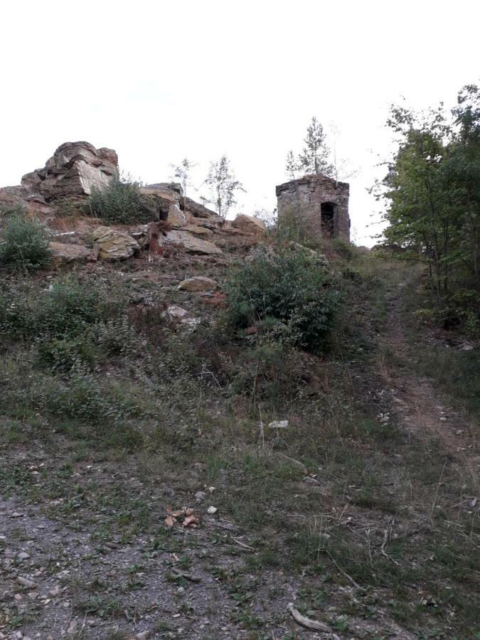 Ferienwohnung 554 - Urbar, vis-á-vis der Loreley Urbar  Exterior foto